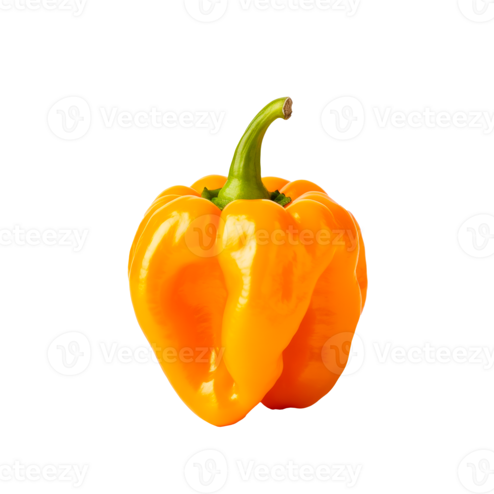 Fresh yellow bell pepper on a transparent background for culinary use png