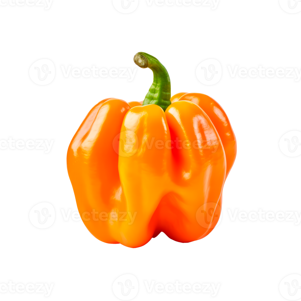 Fresh orange bell pepper isolated on a transparent background png