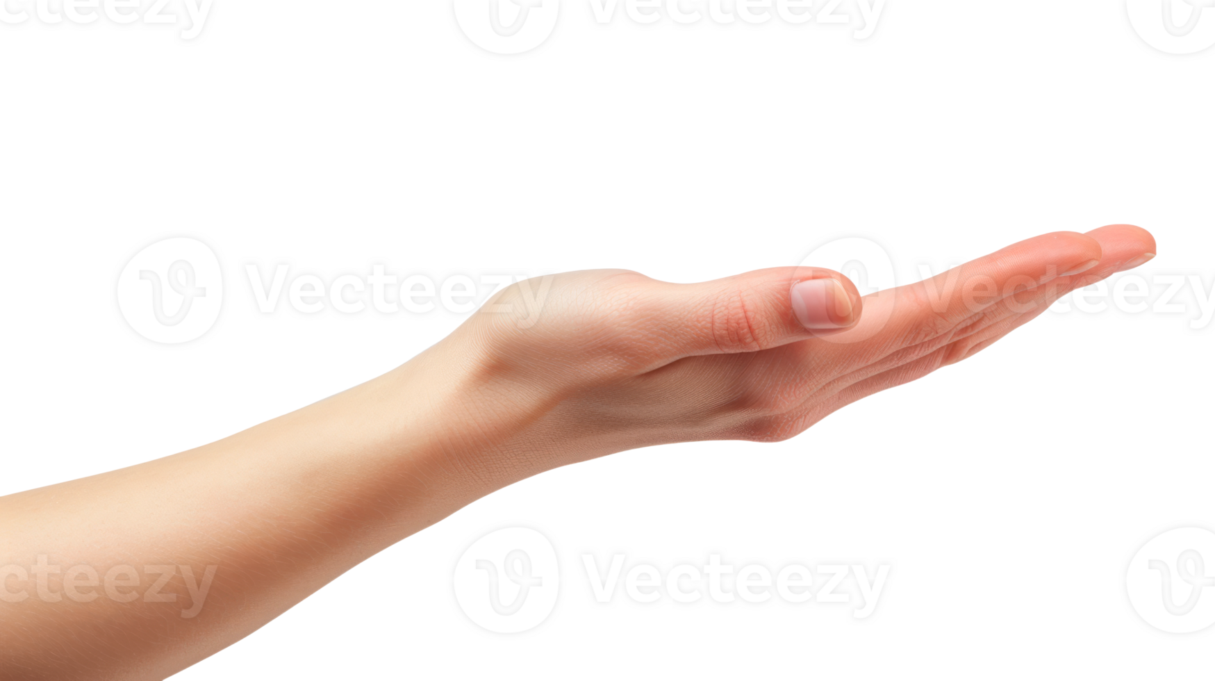An open hand gesture suggesting offering or support on a transparent background. png