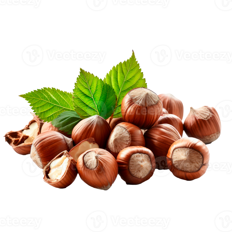A pile of fresh hazelnuts with green leaves on a transparent background png