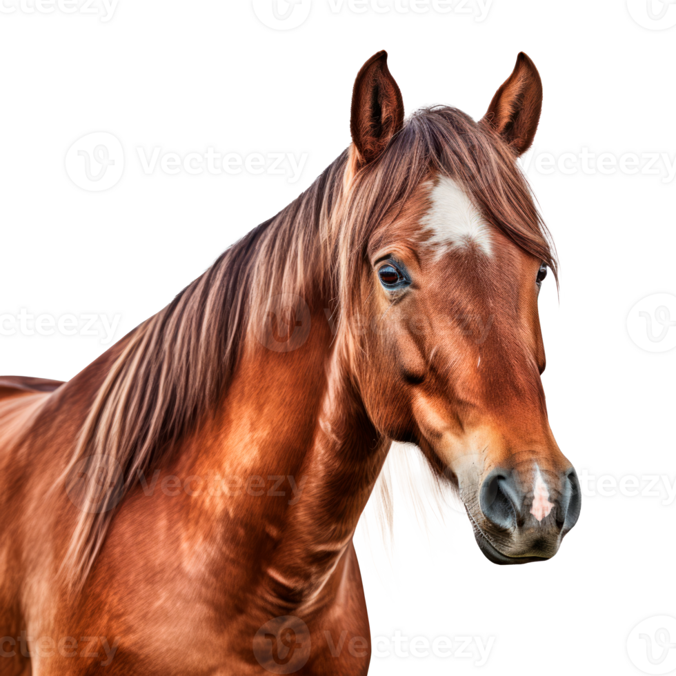 A close-up portrait of a brown horse with a flowing mane. png