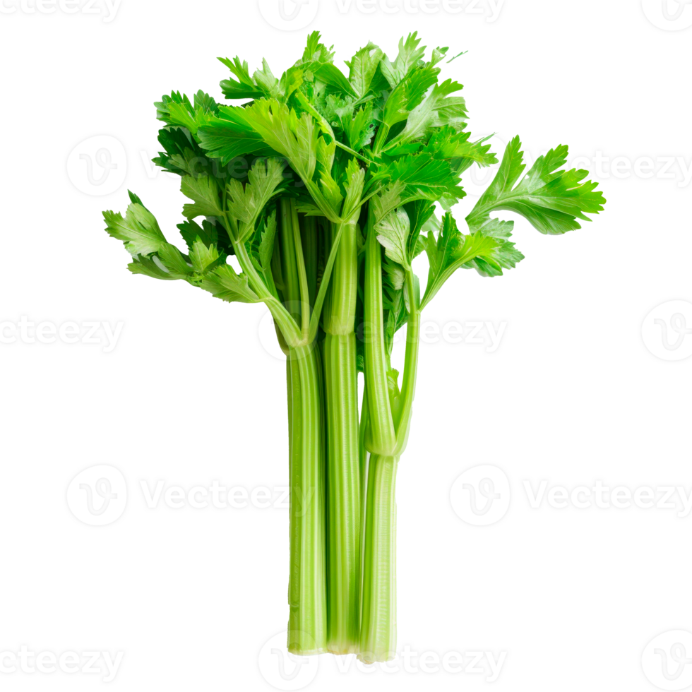 Fresh green celery stalks with vibrant leaves on a transparent background png