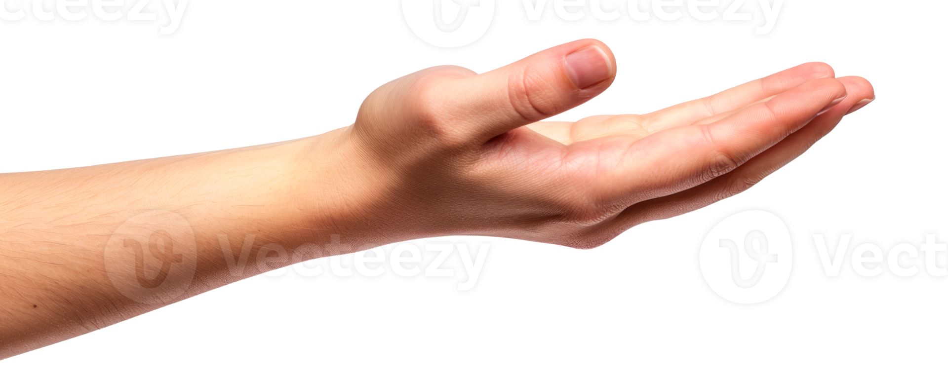 Open hand gesture showing palm for communication or presentation purposes png