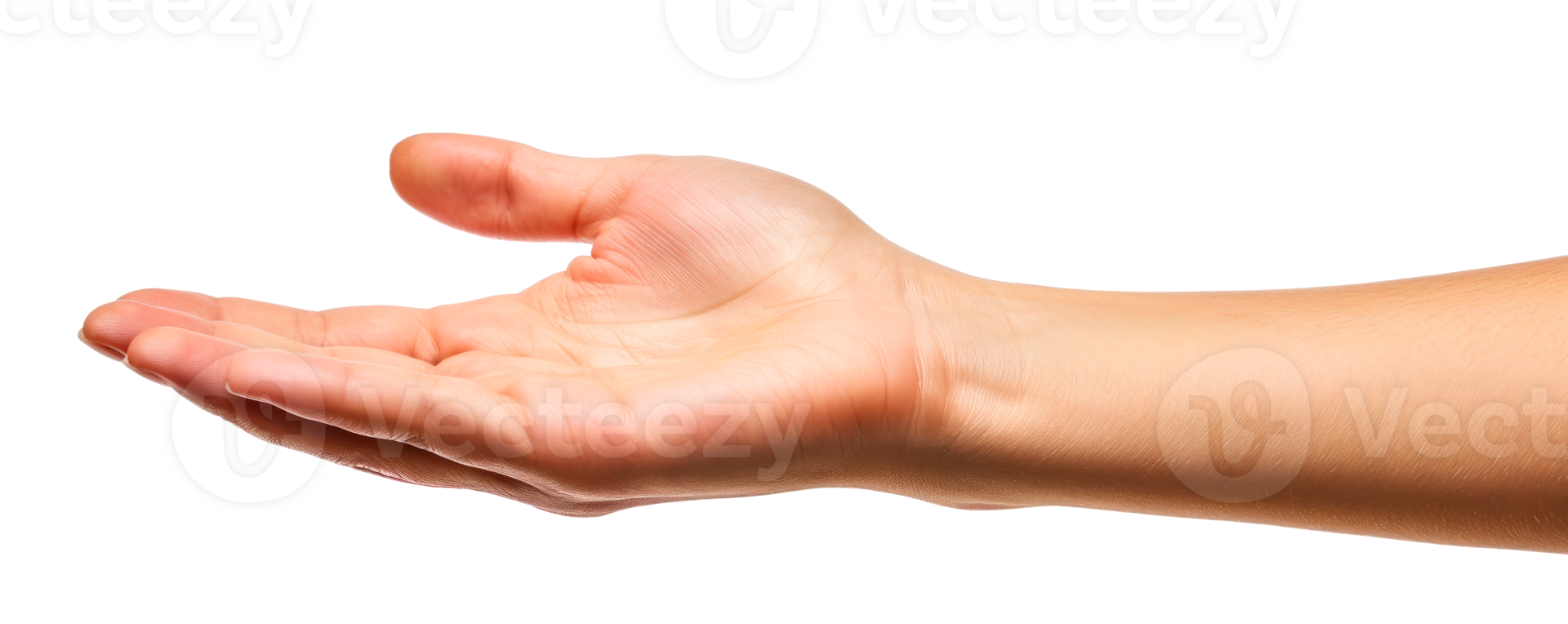 Open hand gesture with palm facing upward isolated on a transparent background png