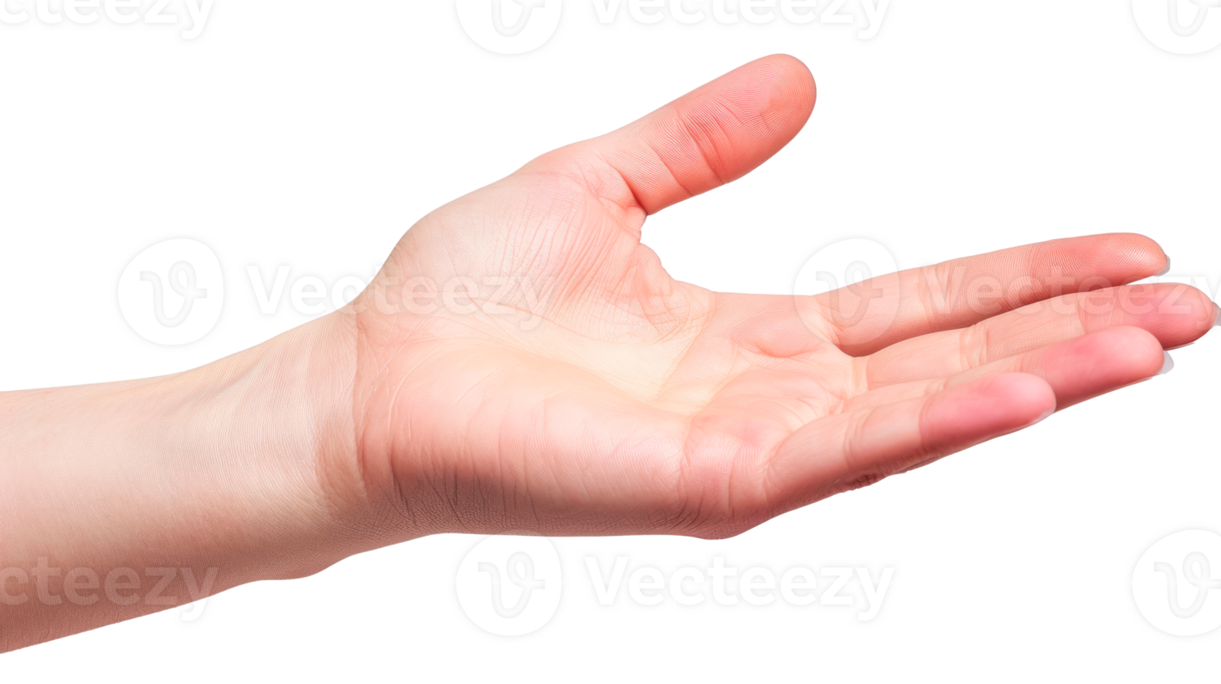 Open hand gesture isolated on a transparent background for various uses png