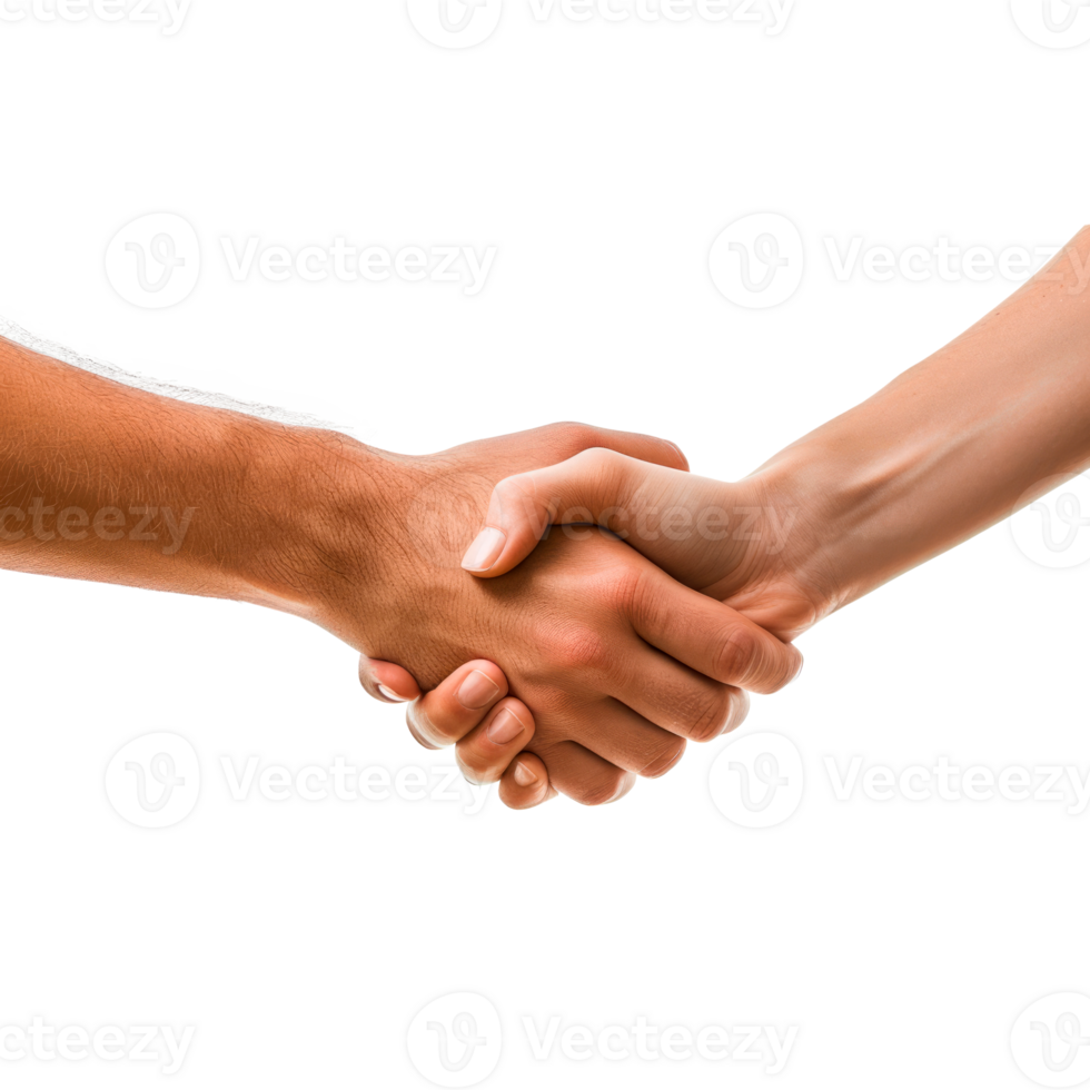 Two hands engaged in a handshake symbolizing agreement and partnership. png