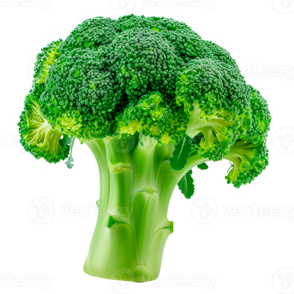 Fresh green broccoli with vibrant florets and a healthy appearance png