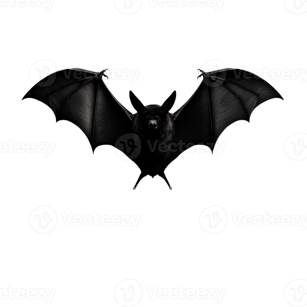 A black bat with outstretched wings isolated on a transparent background png