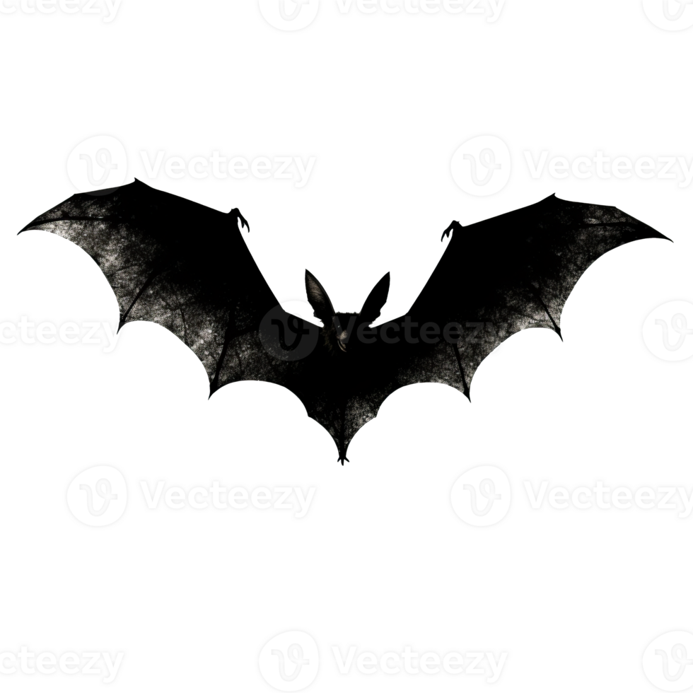 Black bat silhouette with outstretched wings isolated on transparent background png