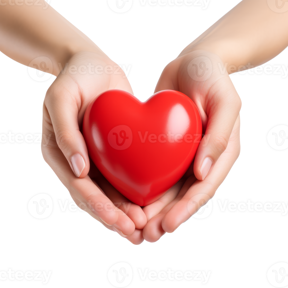 Hands holding a red heart symbolizing love and compassion png