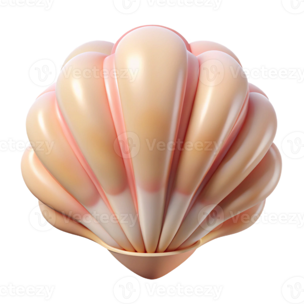 3D Render of a Peach Seashell png