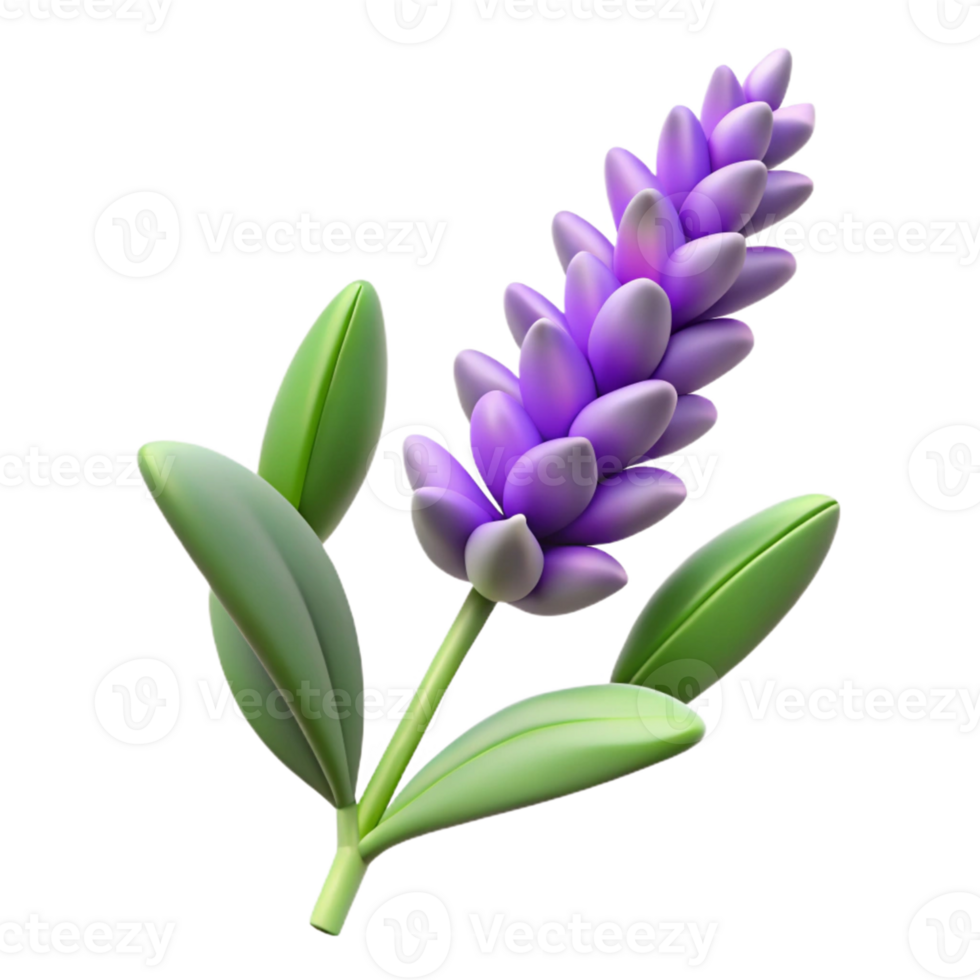 3D Render of Lavender Flower png