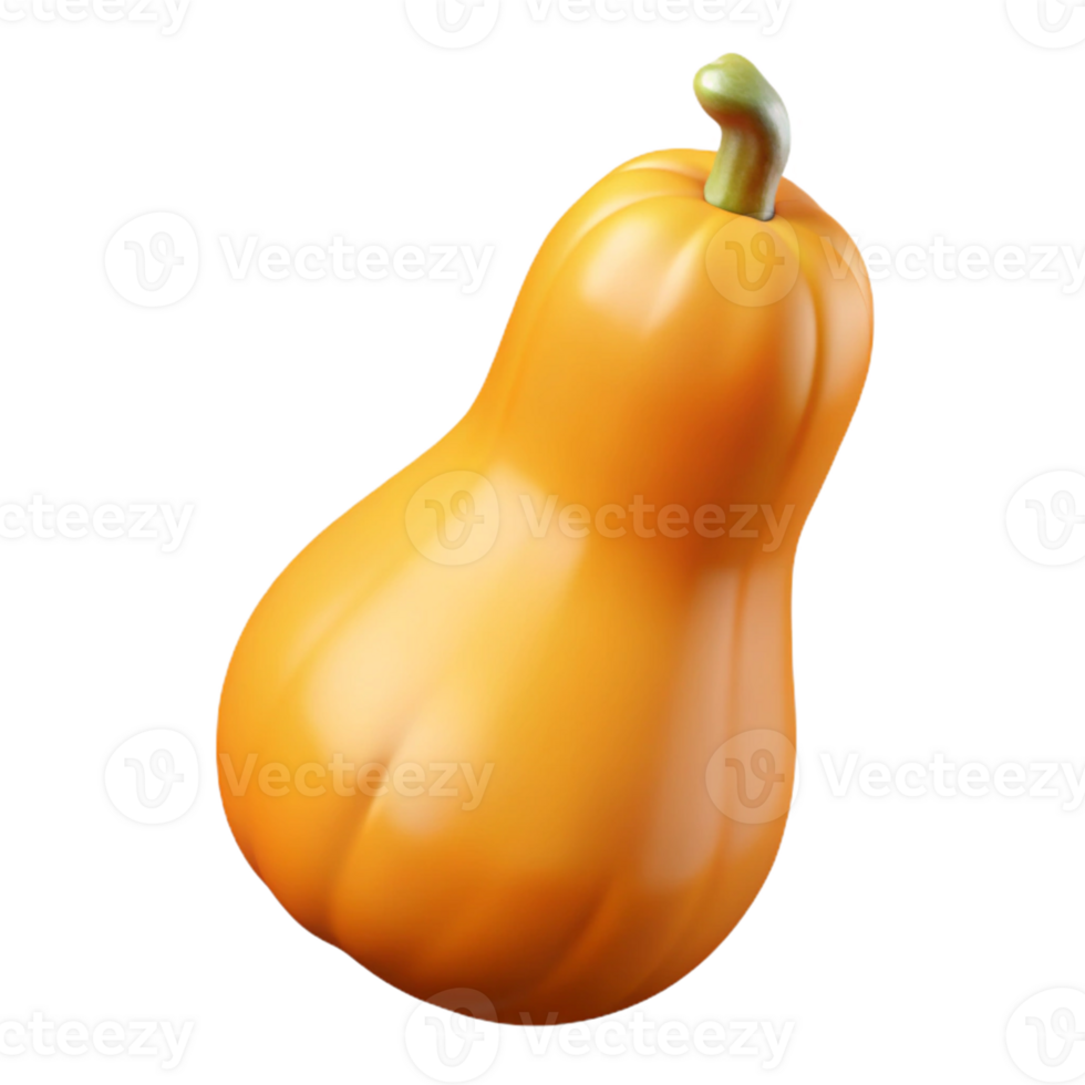 3D Render Butternut Squash Illustration png