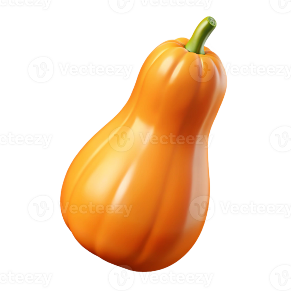 3D Render Butternut Squash Illustration png