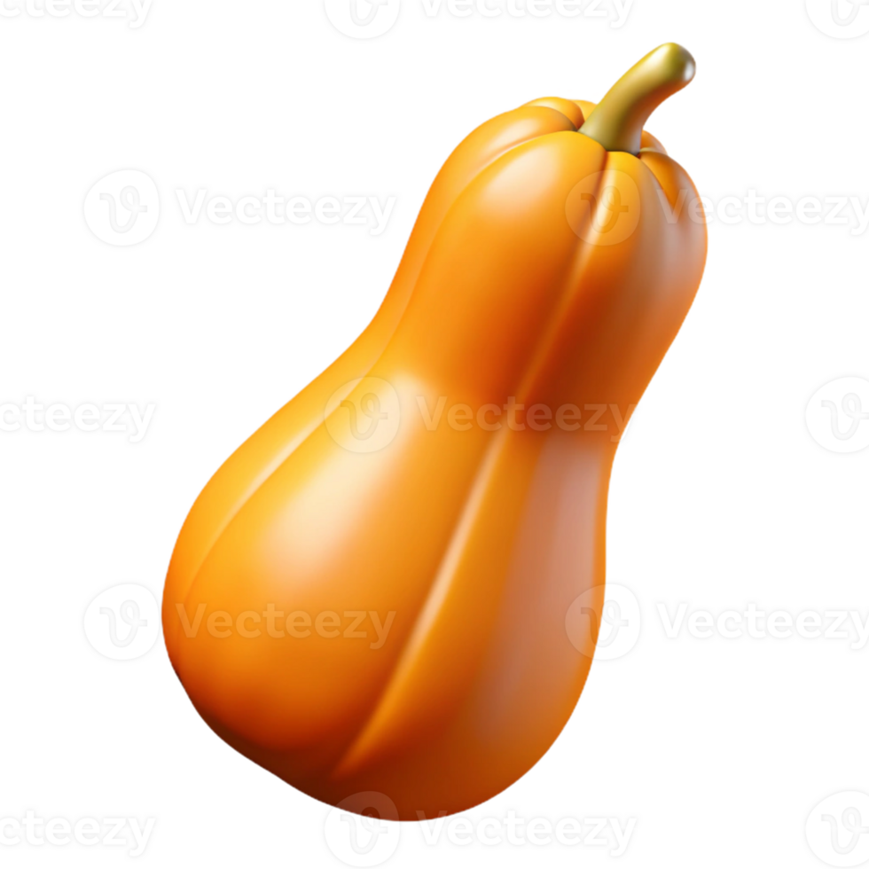 3D Render Butternut Squash Vegetable png