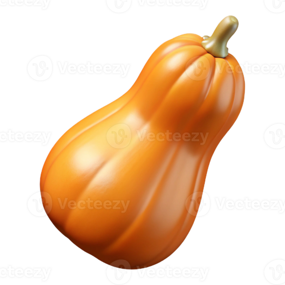 3D Render Butternut Squash Illustration png