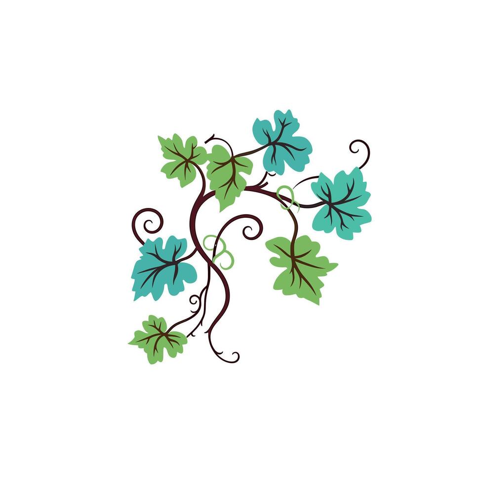 Beautiful vine design with green leaves and curls vector