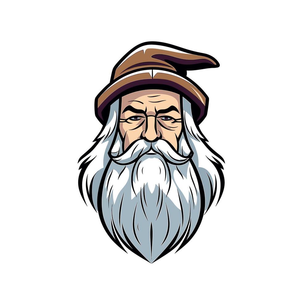 Old wizard with a long beard and pointed hat vector