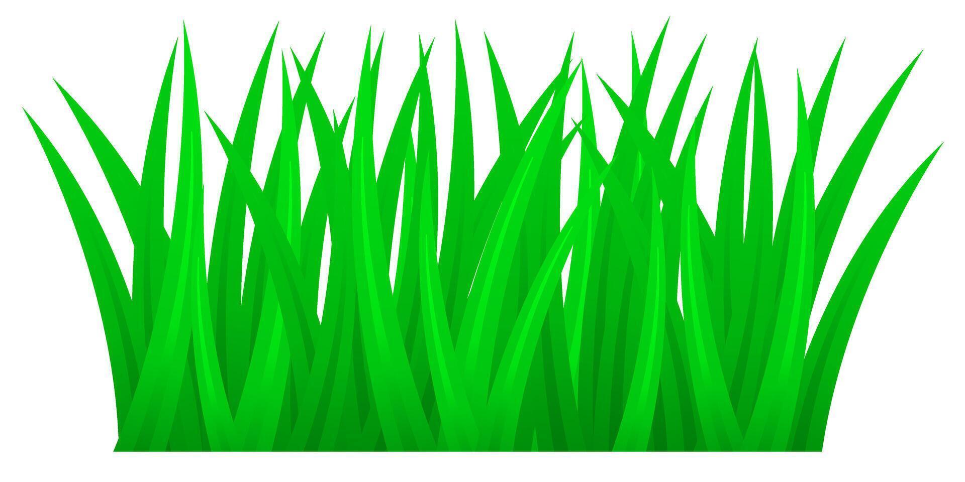 Green grass suitable for nature, summer and spring. vector