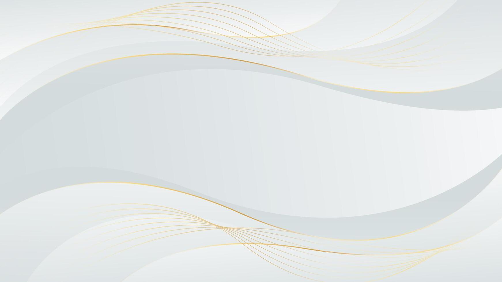 White-gray Luxury wave background with abstract gold lines. wallpaper vector
