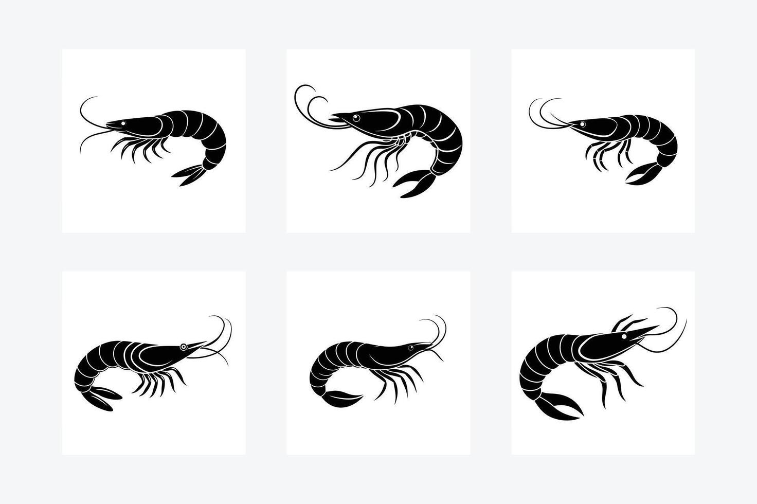 Shrimp Fish Designs on White Background vector