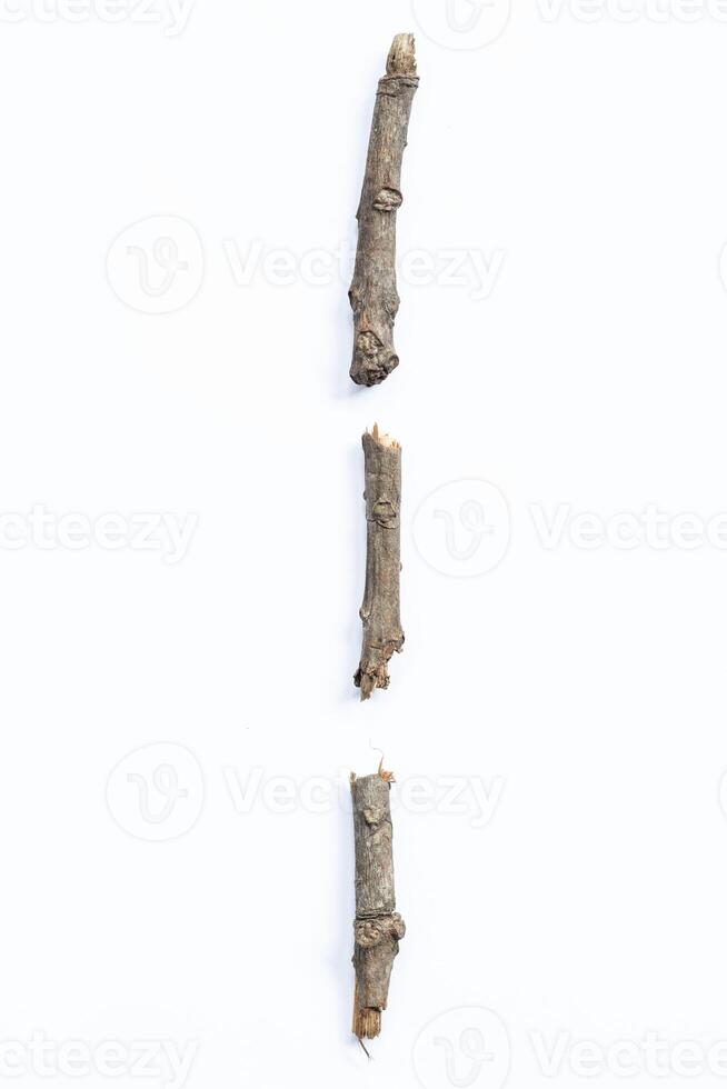 oak stump, log fire wood isolated on white background with clipping path photo