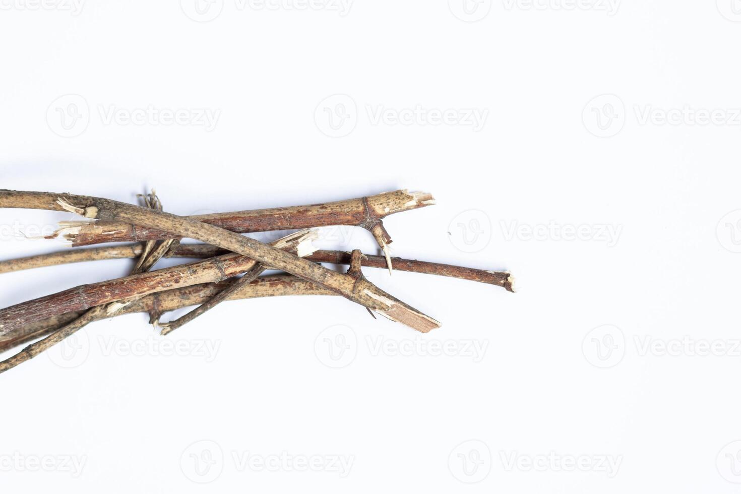 Dry tree twigs branches isolated on white background. close-up photo