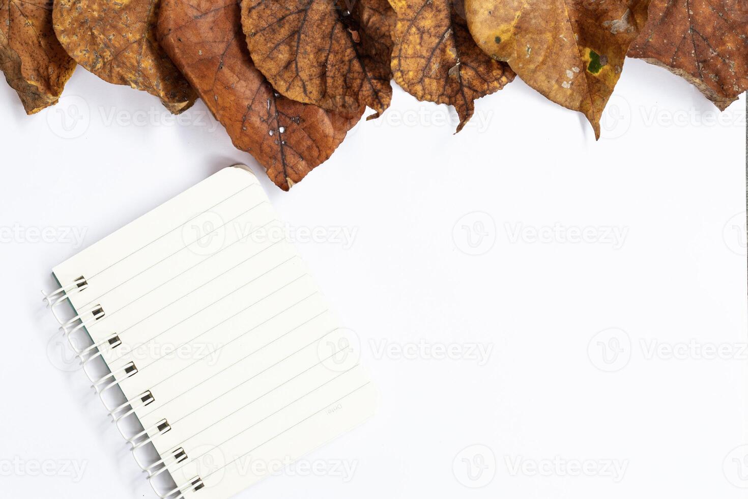 Autumn composition. Home office workspace, woman desk with empty notebook, keyboard, dry leaves on isolated white background. Autumn, autumn business concept. Flat lay, top view, copy space photo