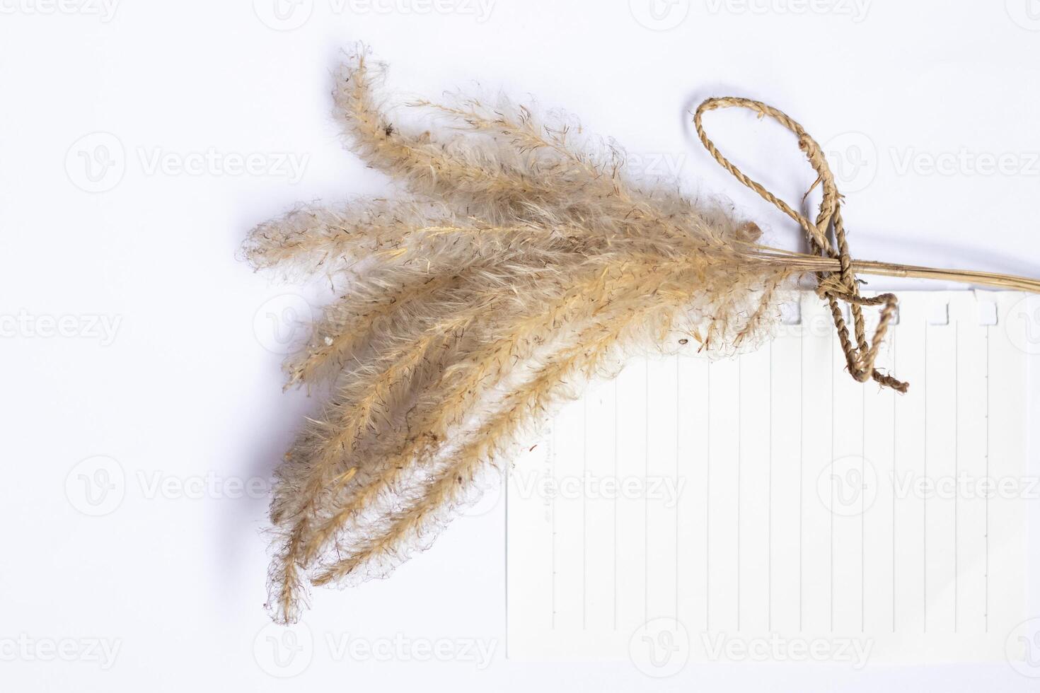 Mockup with blank paper sheet card and dry pampas grass over white background with trendy shadows and sunlight. Minimal business branding template. Flat lay, top view photo