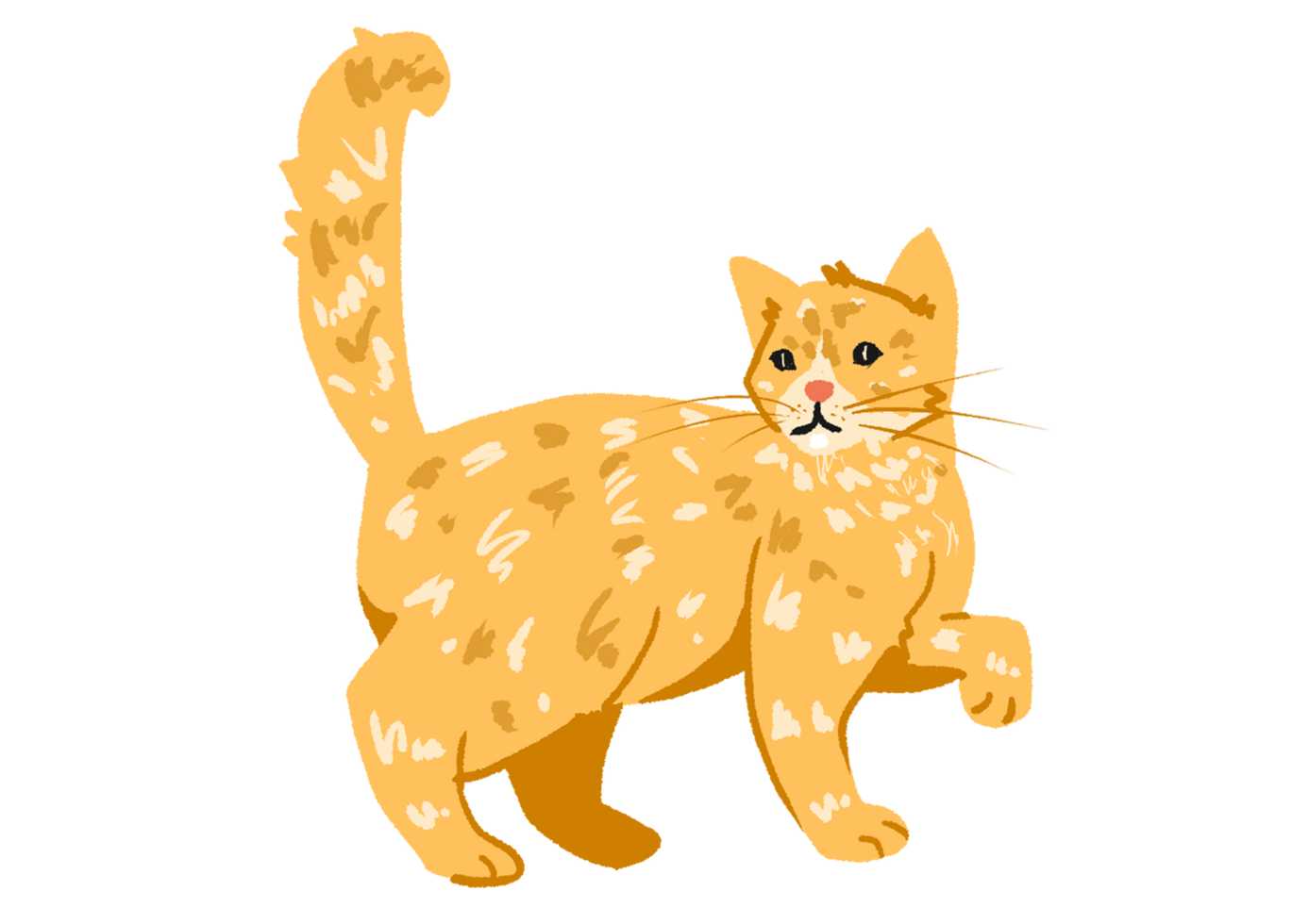 orange cat illustration png