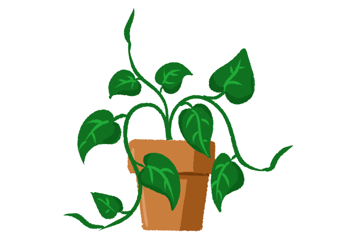 vines in pots png