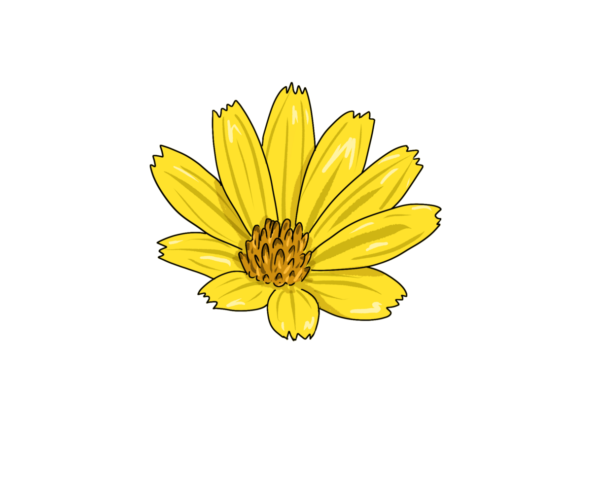 yellow flower illustration png