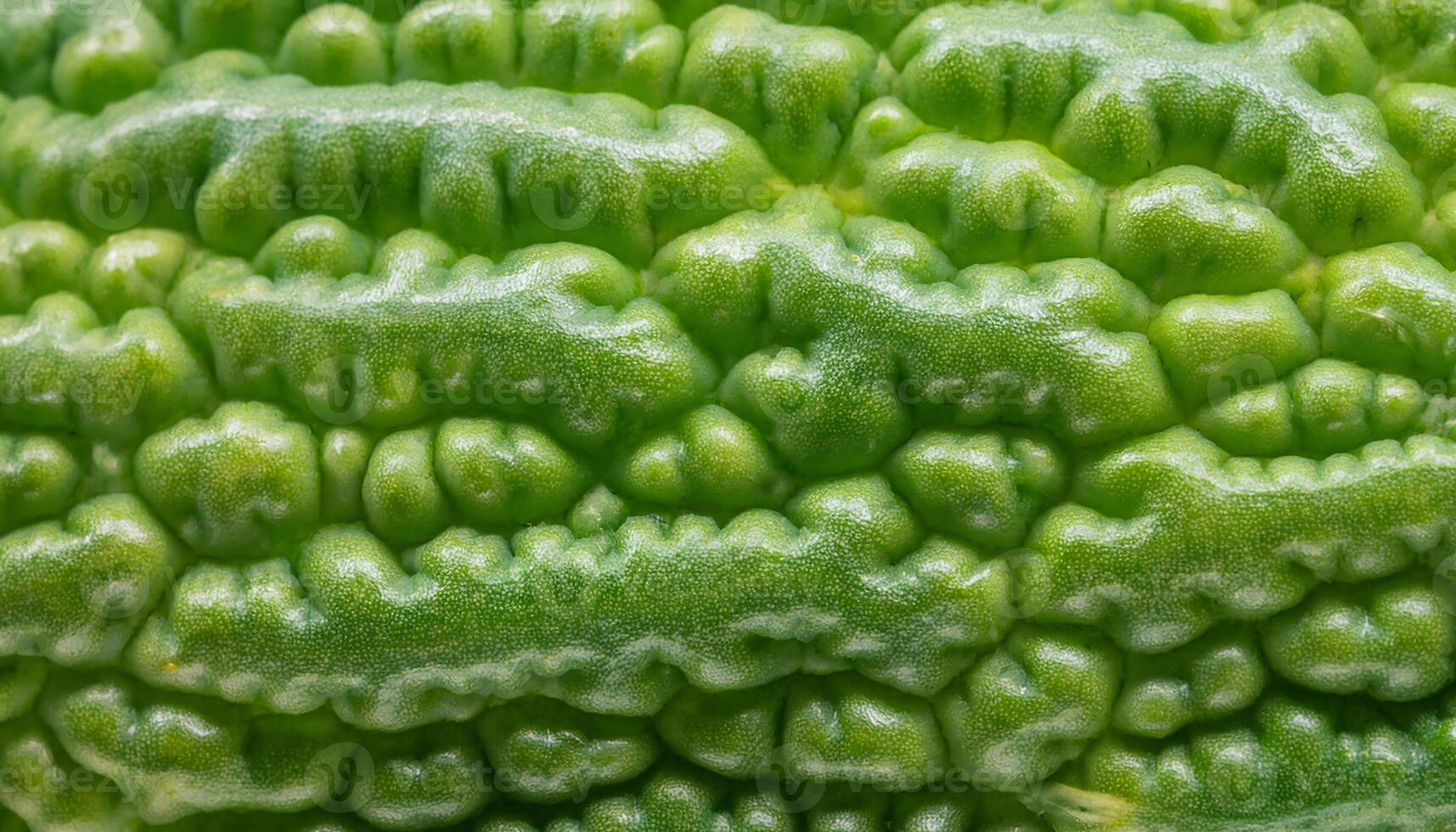 close-up of a bitter melon peel with knobby textured surface and vibrant green color showcasing its unique natural pattern photo