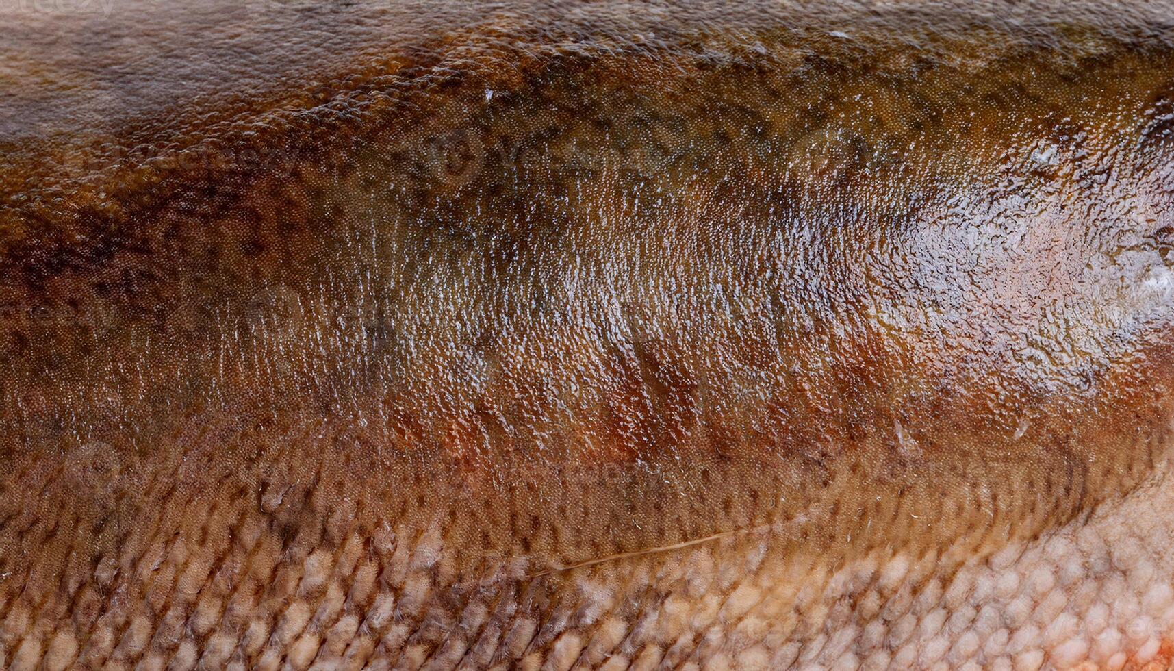 macro view of halibut fish skin highlighting earthy brown and gray tones with fine textured surface details photo