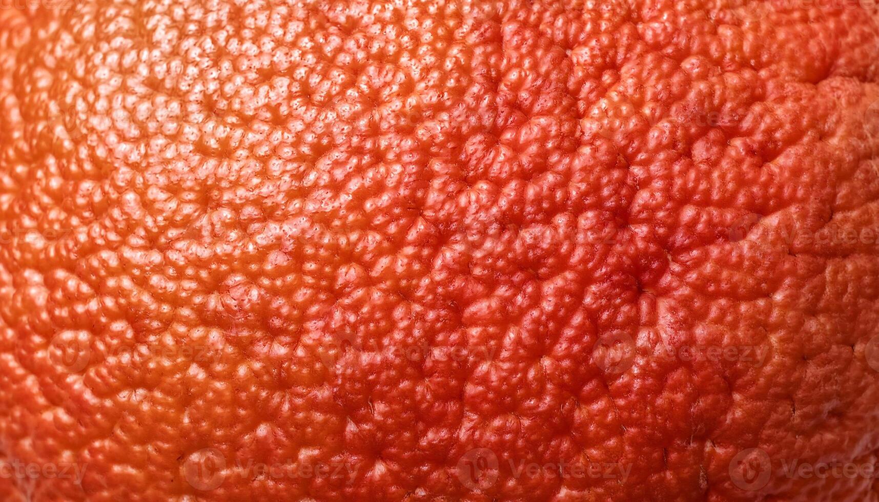 close-up of grapefruit peel with vibrant reddish-orange hue and detailed uneven texture showcasing natural patterns photo