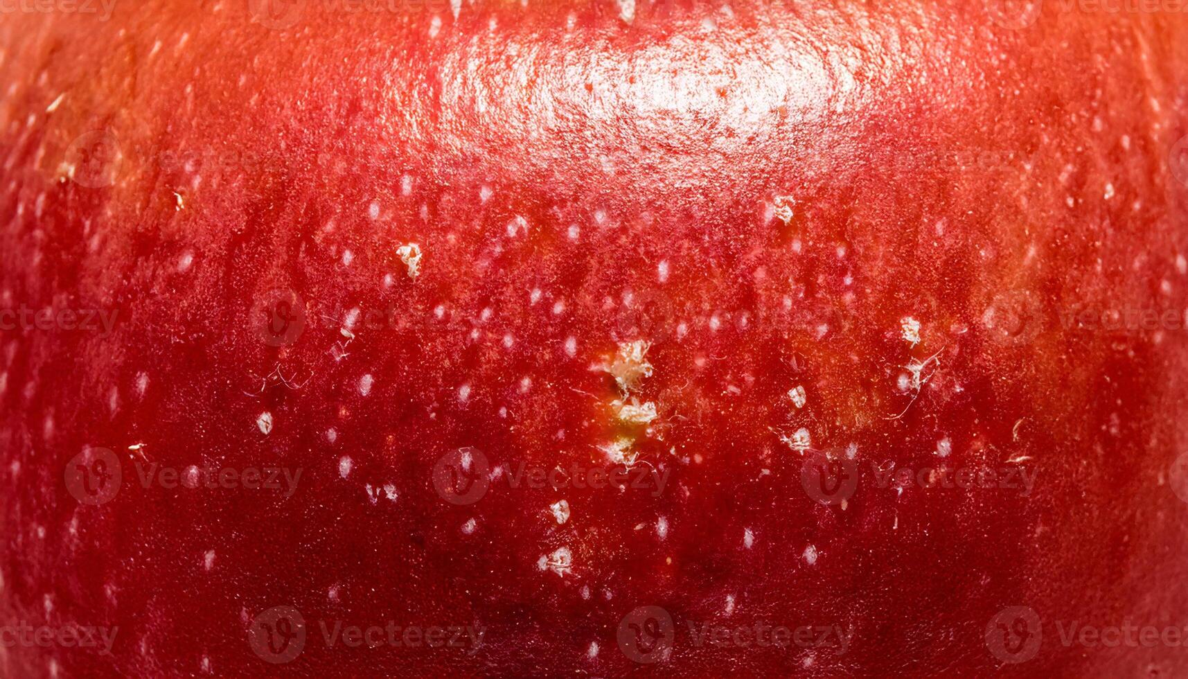 macro view of an apple peel highlighting smooth red surface with small white speckles photo