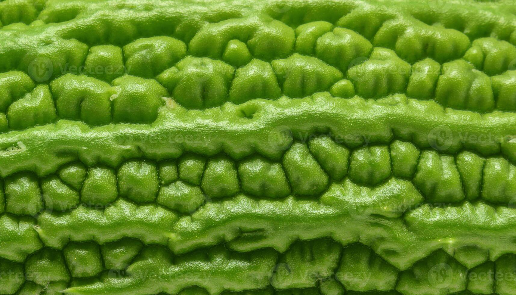 close-up of bitter melon peel with rough knobby surface and vibrant green texture showcasing natural patterns photo
