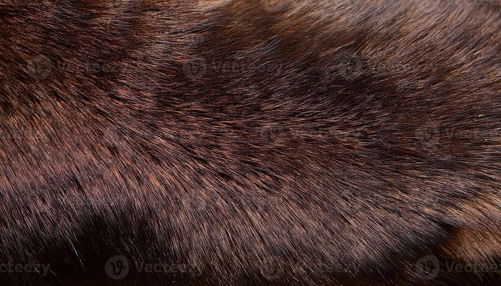 close-up of mink fur, showcasing its short, shiny, and dense texture with rich brown hues for natural and luxurious patterns photo