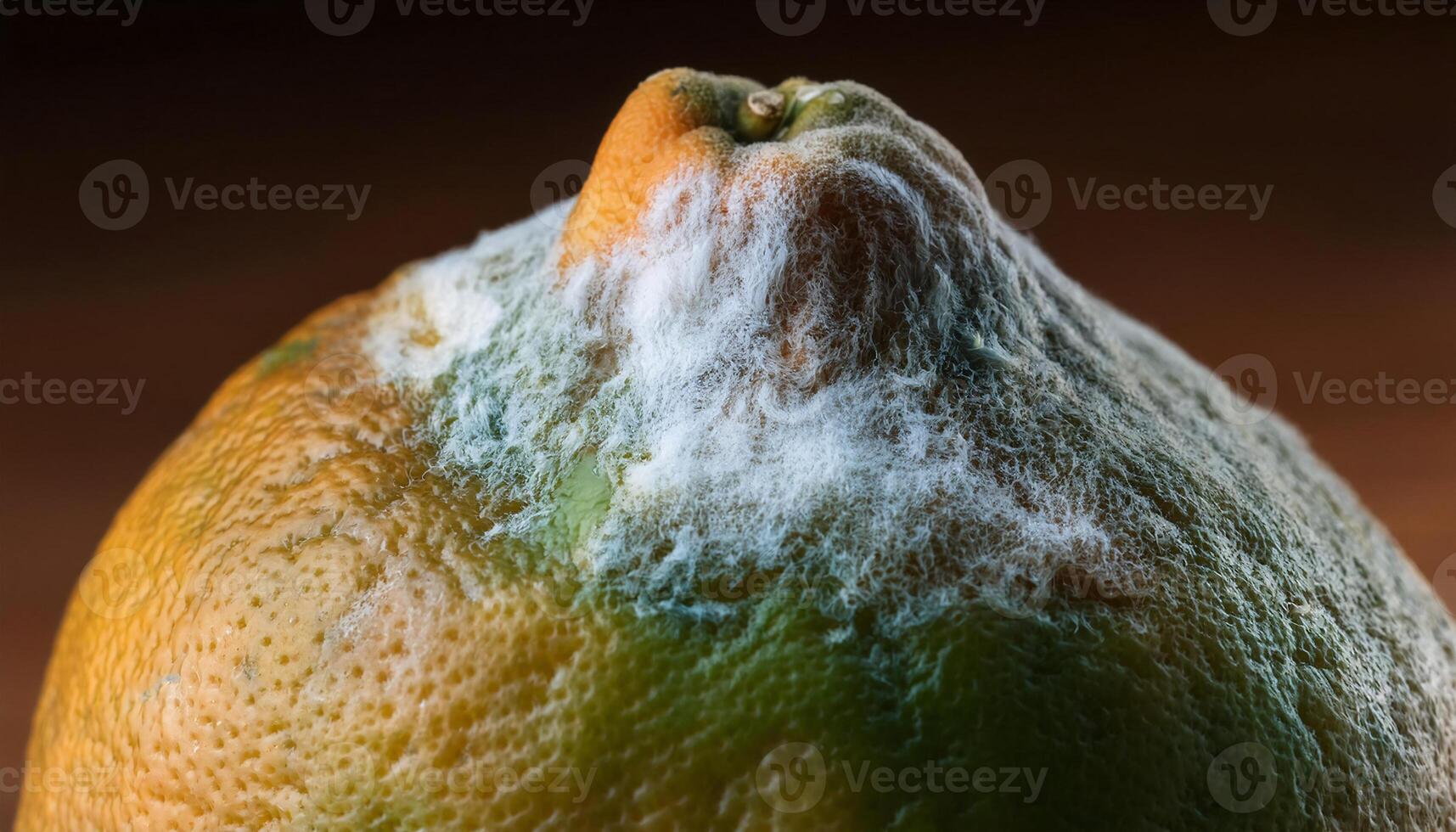 macro close-up of a moldy pomelo with extensive white fungal growth and discoloration spreading across the surface photo