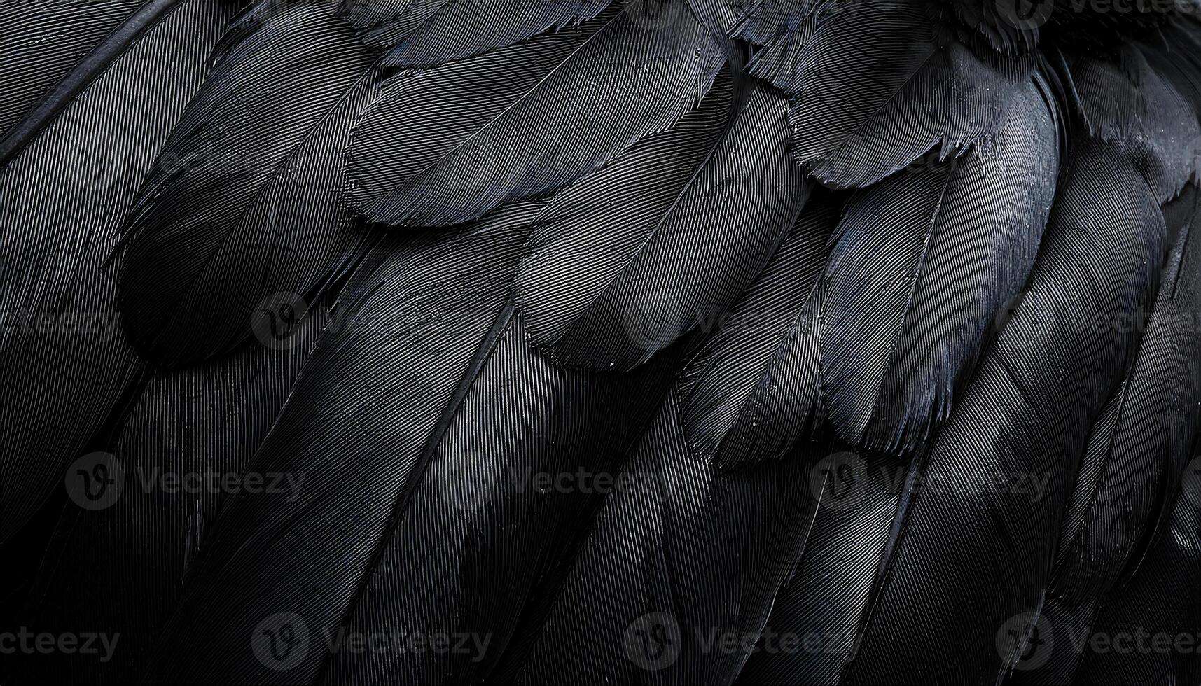 close-up of crow feathers showcasing glossy black texture and intricate details for natural bird patterns photo