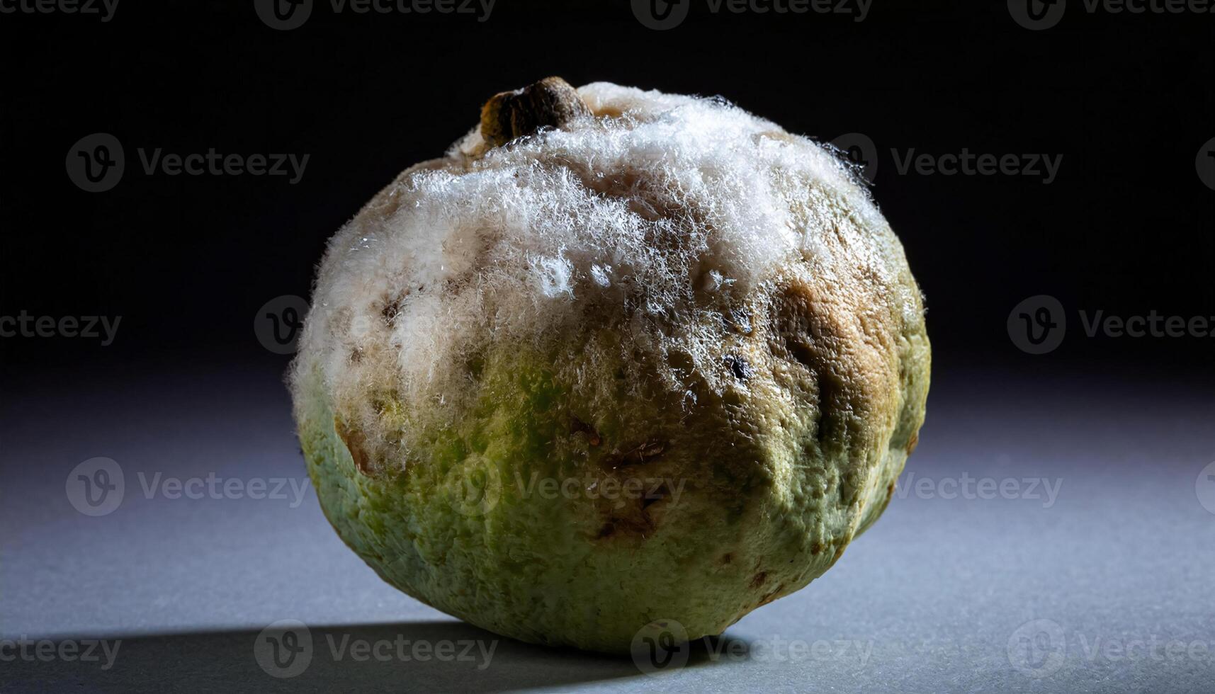close-up of a guava covered with white fungal growth and discolored spots, highlighting natural fruit decay photo