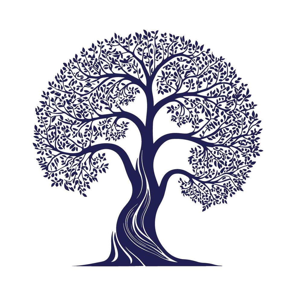 An olive tree with leaves and branches on a white background vector