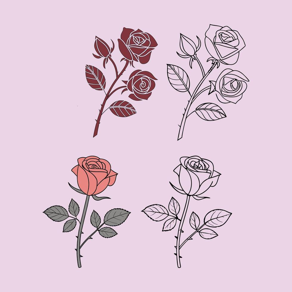 Rose illustration set vector