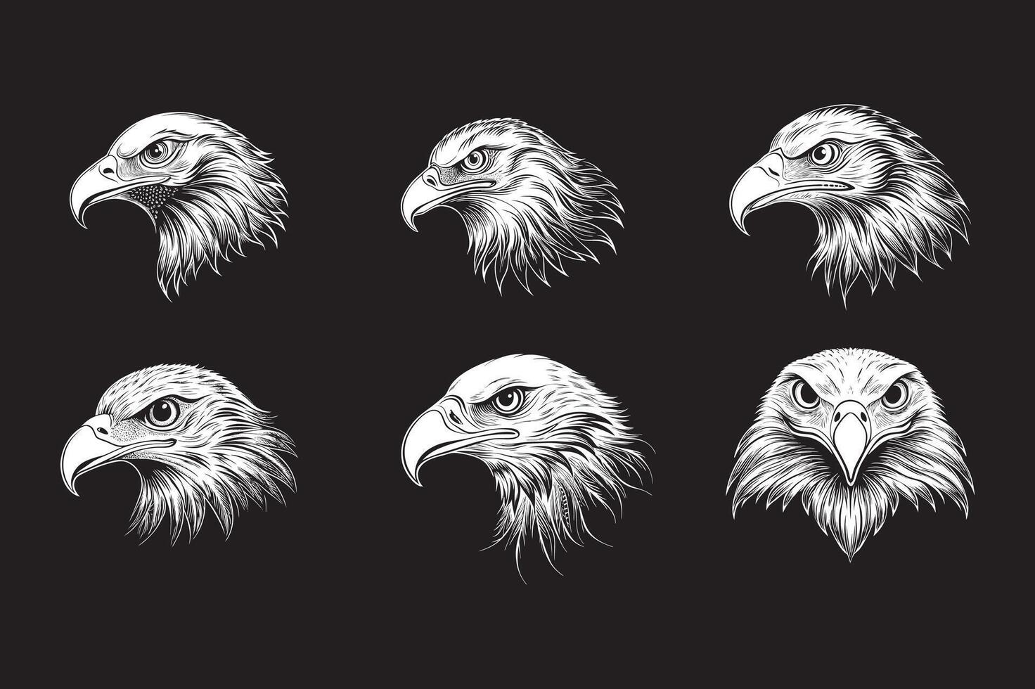 Eagle head set of different styles of bald eagle head vector