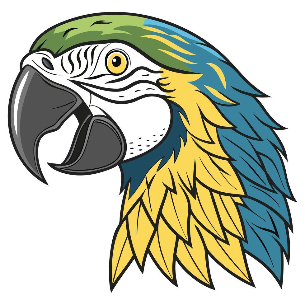 illustration of a parrot head vector