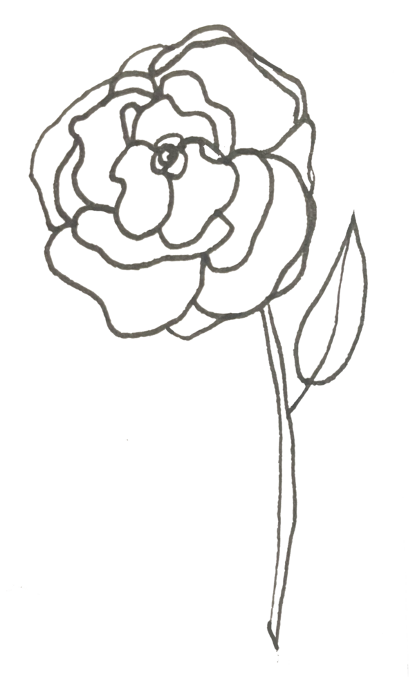 A black and white drawing of a rose png