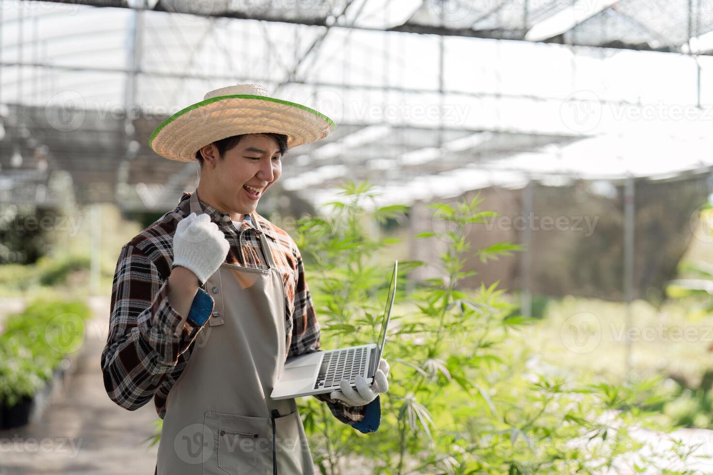 Young Gardener Tending to Cannabis Plants in a Lush Greenhouse Setting with Modern Tools and Techniques photo