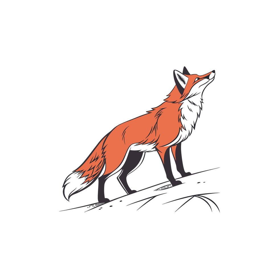 A red fox standing on a hill vector