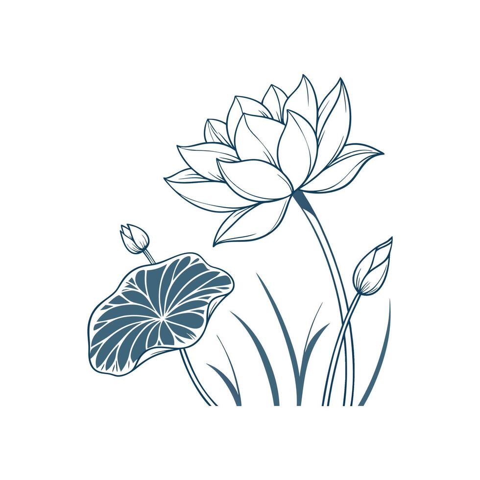 A lotus flower and a leaf on a white background vector