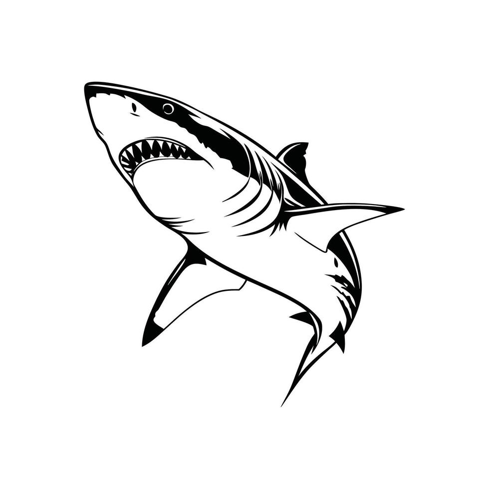 Great white shark decal vector